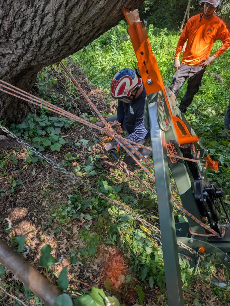 All Photos for Mitchell Tree Company in Lathrop, MO