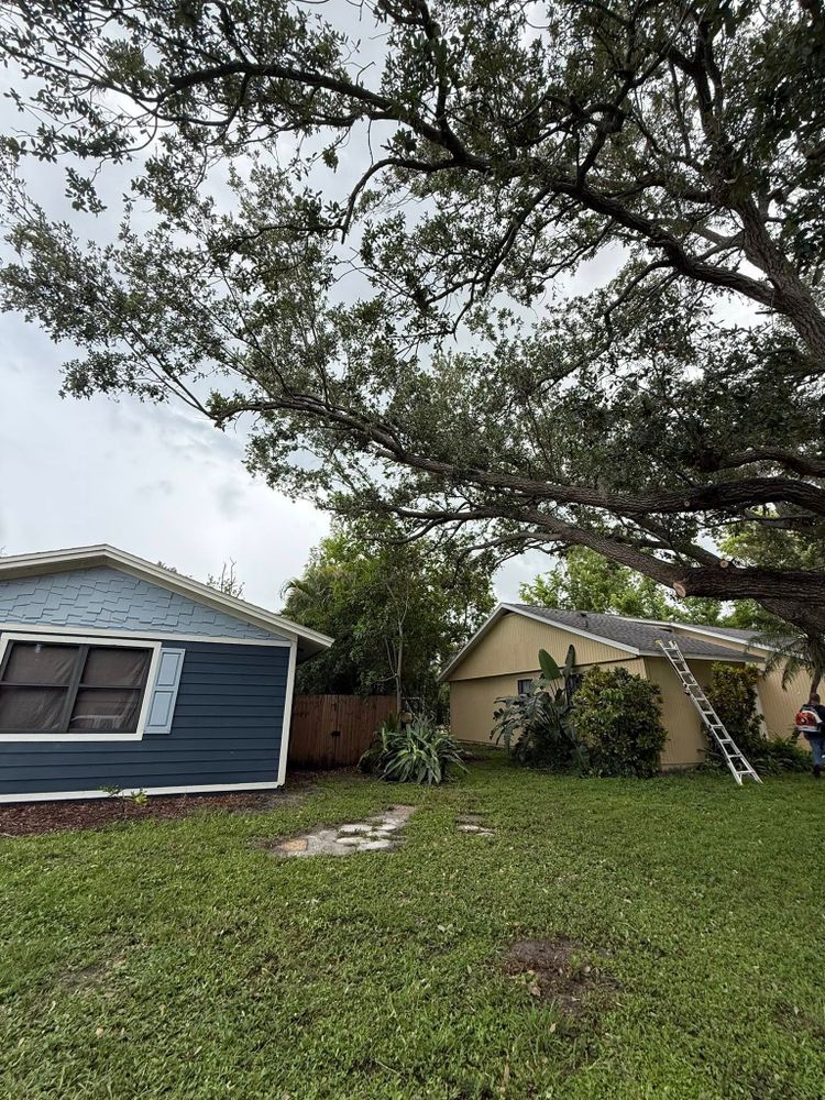 All Photos for Damian’s Tree Care in Sarasota, FL