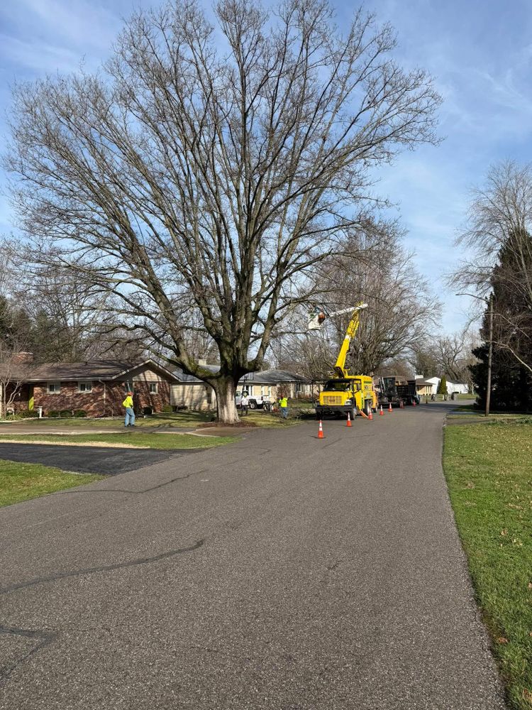 Our Fall Clean Up service is designed to help homeowners prepare their outdoor spaces for the upcoming season by removing fallen leaves, branches, and debris to maintain a clean and tidy landscape. for SMITHs Tree Service in Columbus, IN