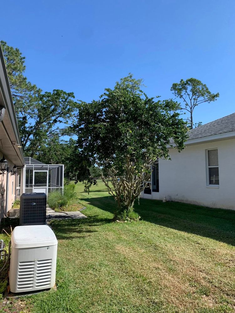 All Photos for Mitchell Lawn Service in Odessa, FL