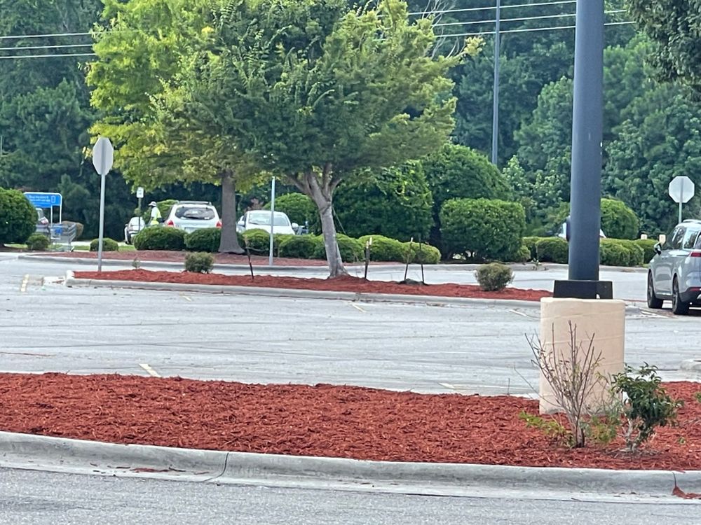 All Photos for A&A Property Maintenance in Jacksonville, NC