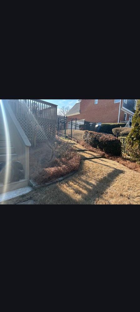 All Photos for BAM Another Pinestraw Lot in Flowery Branch, GA