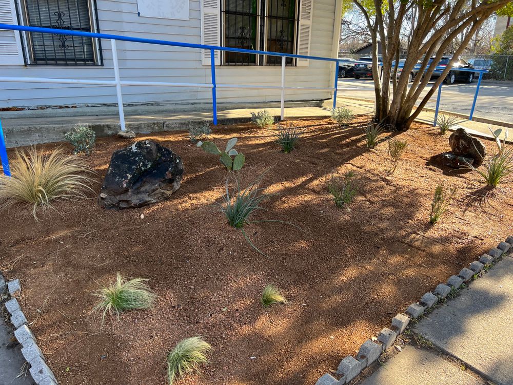 All Photos for Cortez Landscaping Services in Mesquite, TX