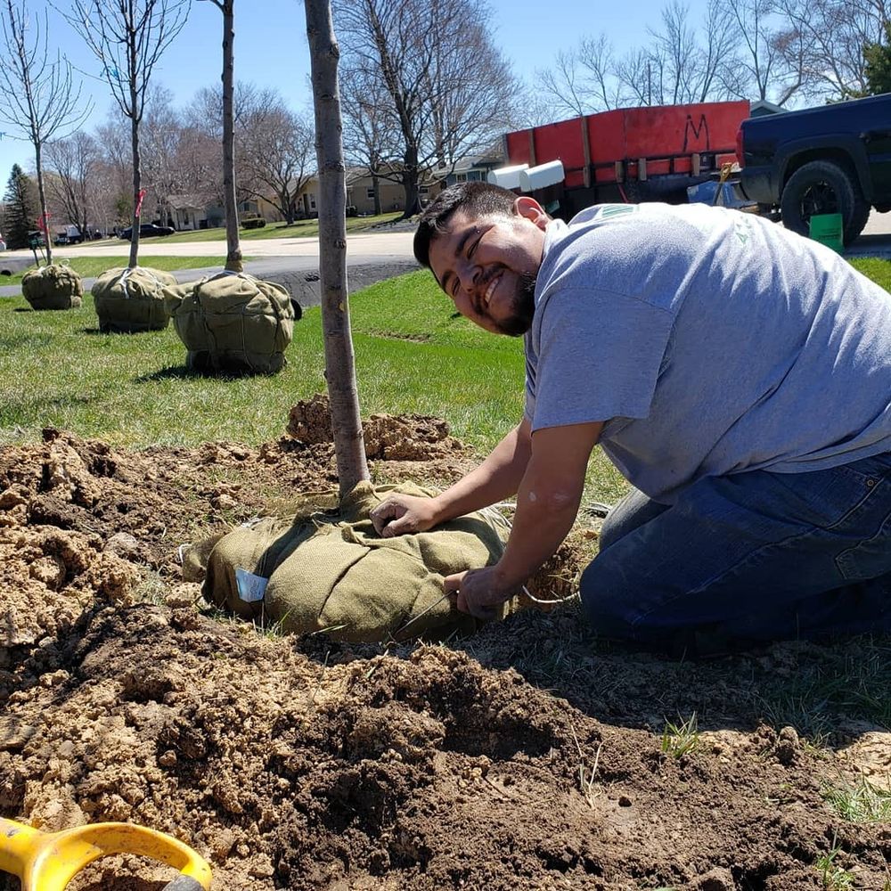 Landscaping for Malagon & Company LLC in Milwaukee, WI