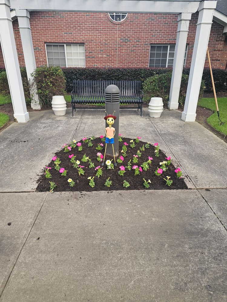 All Photos for Trinity Landscapes  in Lumberton, NC