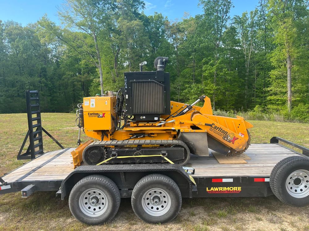 Tree Removal for Big Rock Tree Removal LLC in Boaz, AL