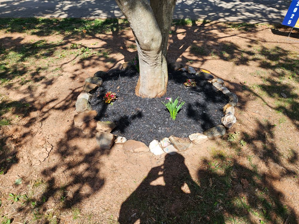 All Photos for Browns Grounds in Culpeper, VA