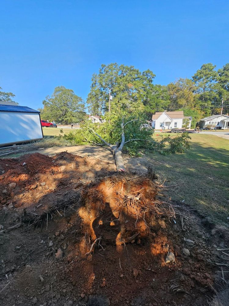 Our Tree Removal service safely and efficiently clears unwanted trees from your property, using expert techniques to ensure minimal disruption and leaving your space clean, open, and ready for new possibilities. for O'Connor Clearing and Hauling LLC in Anderson County, SC