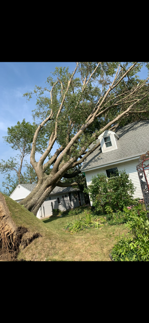 All Photos for Allstate Tree Service and Crane in Spring Lake Park, MN