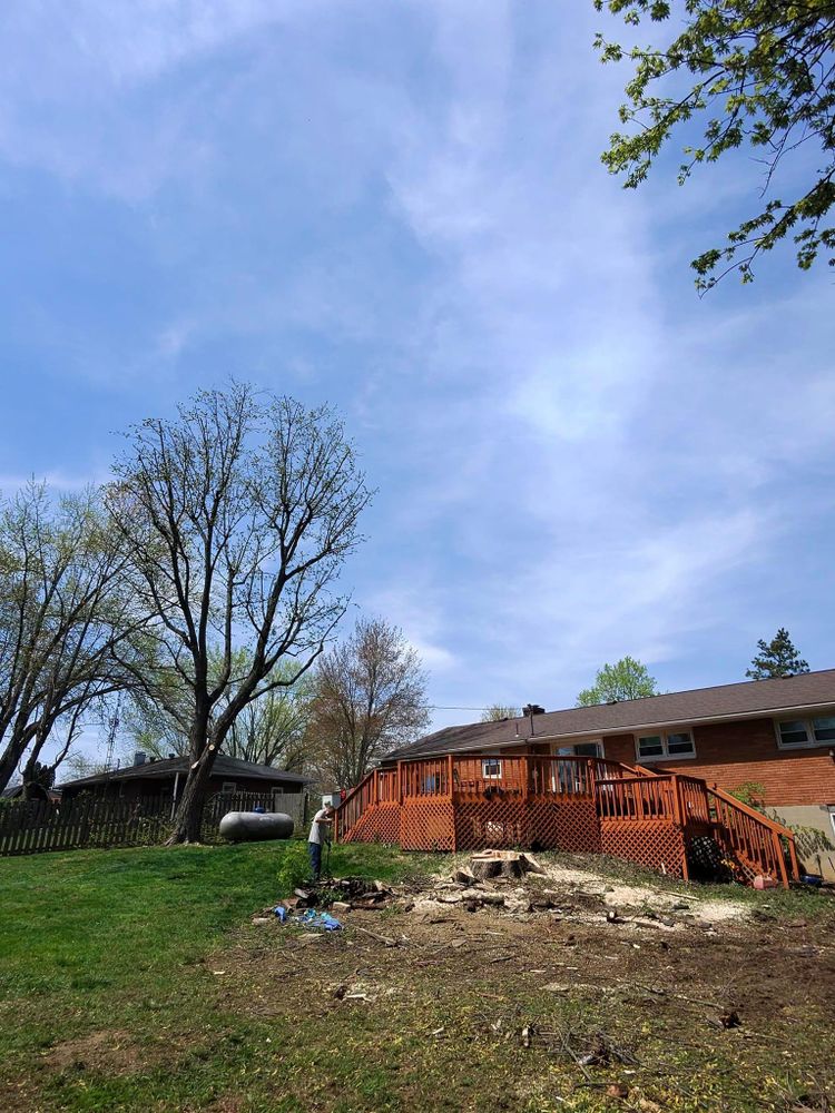 All Photos for F & F Tree Service in Beavercreek, OH