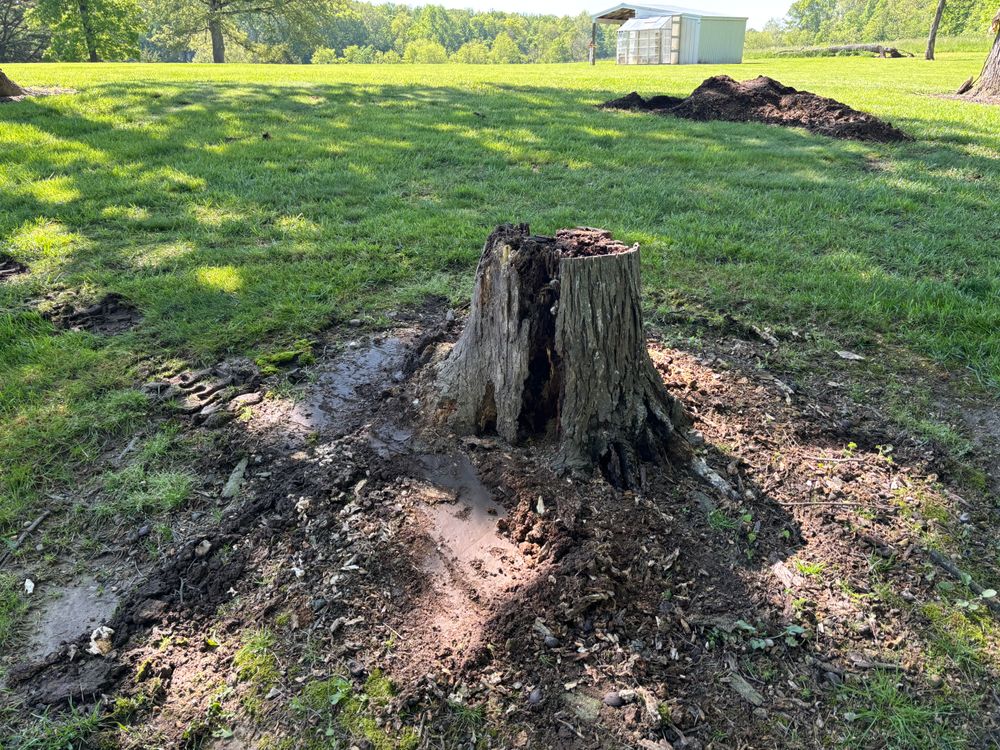 All Photos for Conrad's Stump Removal in Columbus, IN