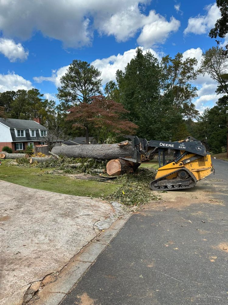 Tree Removal for ArborMax in Thomaston, GA