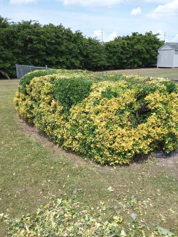 Landscaping for Handy Al's Landscaping LLC in Greenville, NC