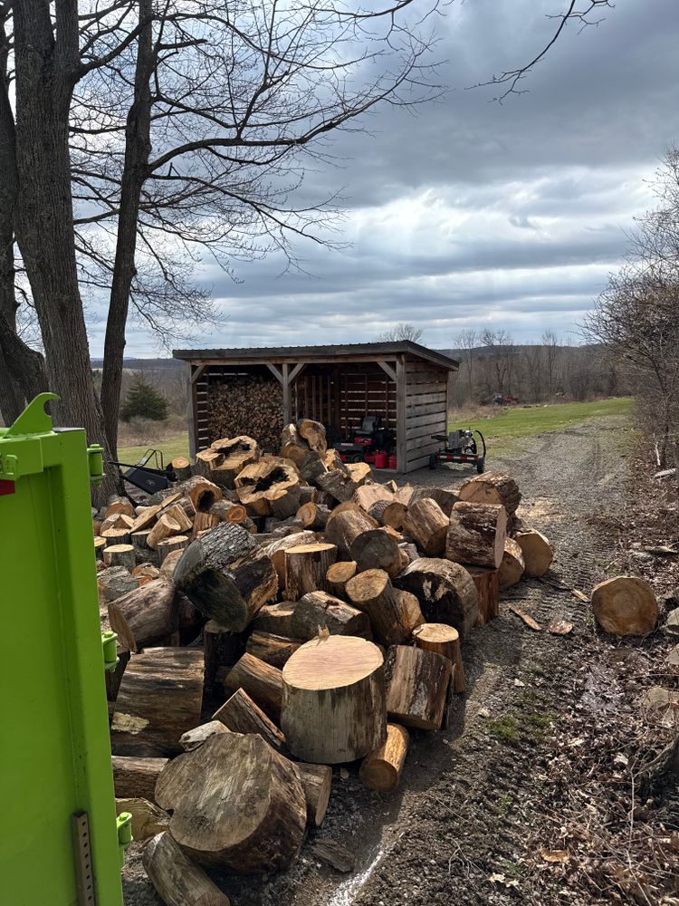 All Photos for Sterlings Tree Removal in Cobleskill, New York