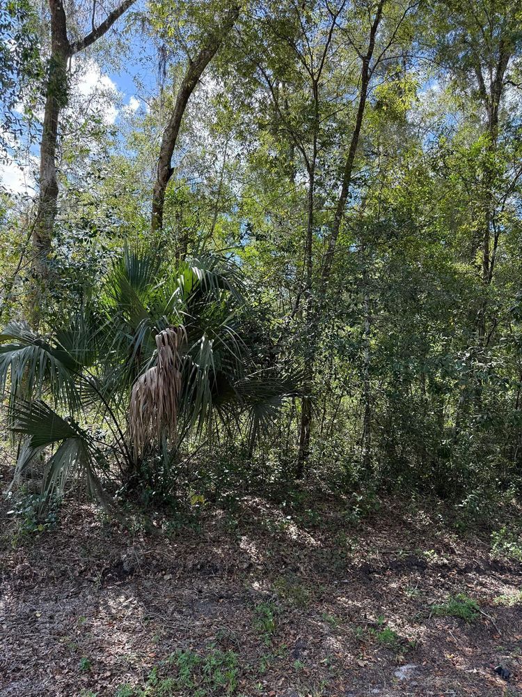 All Photos for J & E Land Clearing, LLC. in Dunnellon, FL
