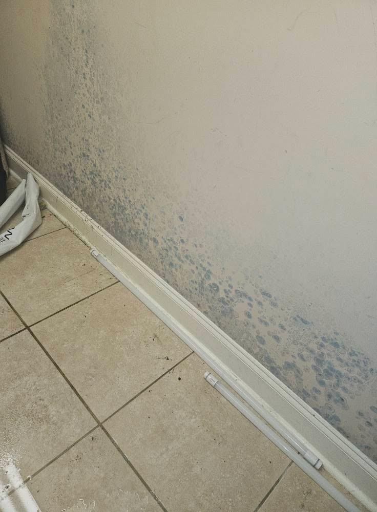 Painting for Struc•ture Development in Phenix City, AL