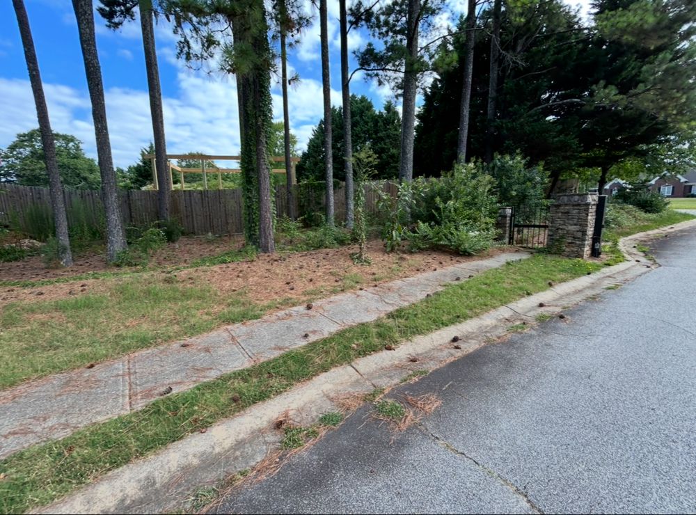 All Photos for WD Lawn Services in Loganville, GA
