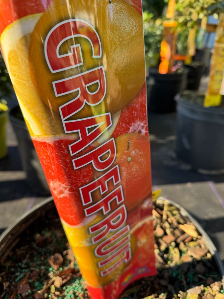 All Photos for Southern Roots Tree Farm in Crystal River, FL