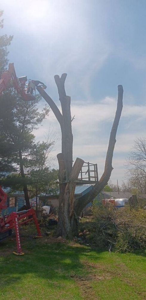 Tree Removal for Lawn Ranger Yard And Tree Service in Ottumwa, IA