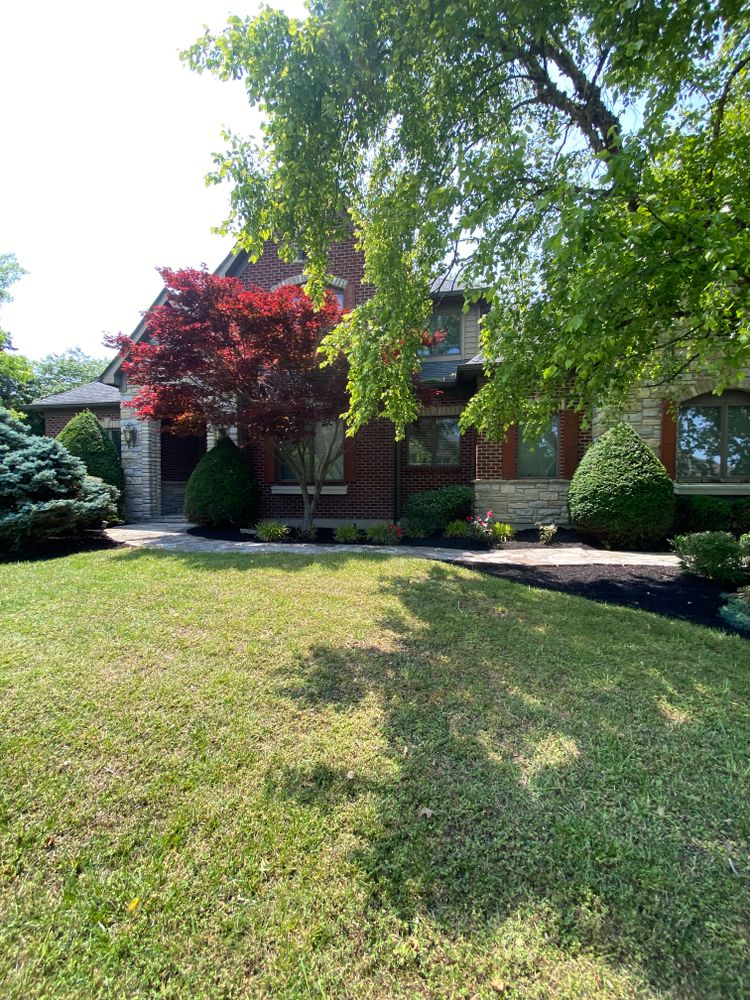 Lawn Mowing for Castle JR Landscaping & Painting LLC in Cincinnati, OH