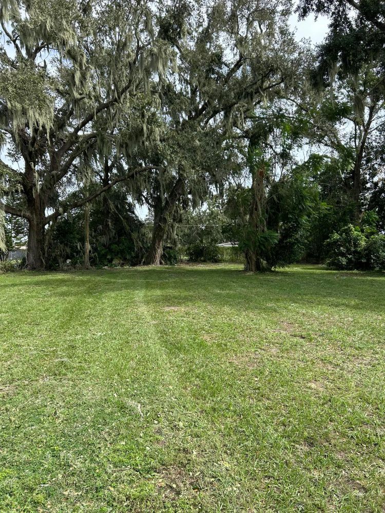 All Photos for Estrada All Pro Lawn Service in Auburndale, Florida