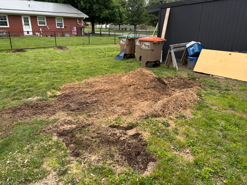 All Photos for Conrad's Stump Removal in Columbus, IN