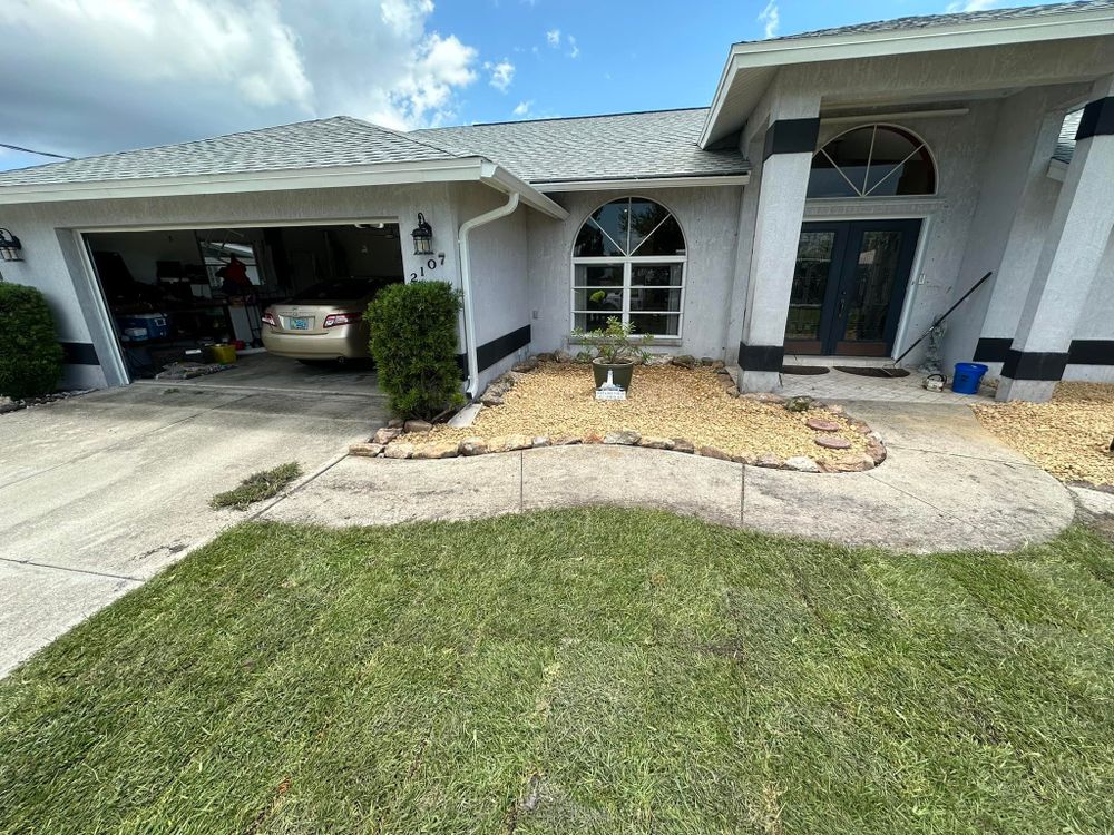 Tree Removal for MX Trees LLC in Englewood, FL