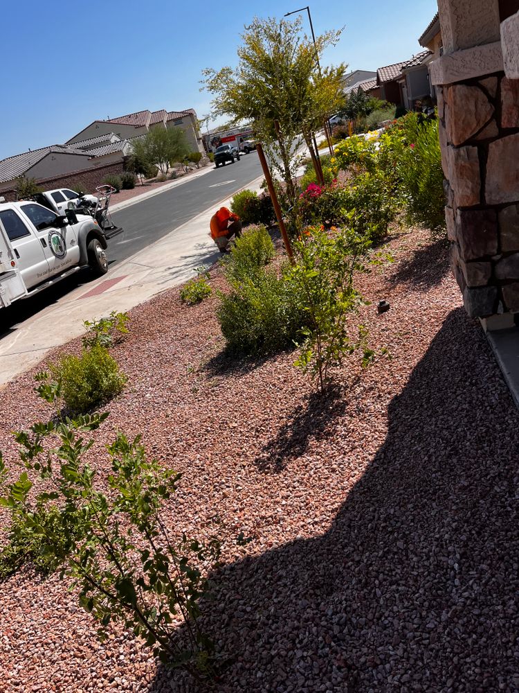 All Photos for AZ Tree & Hardscape Co in Surprise, AZ