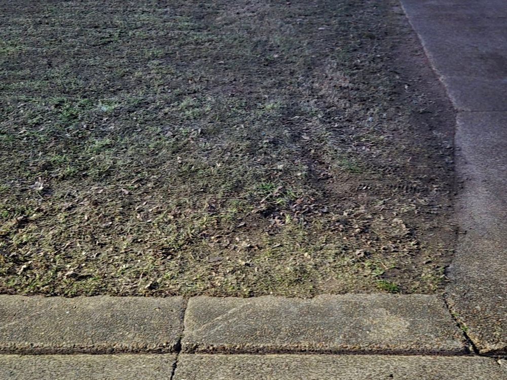 All Photos for The DUFF LAWN Service in Houston, Texas