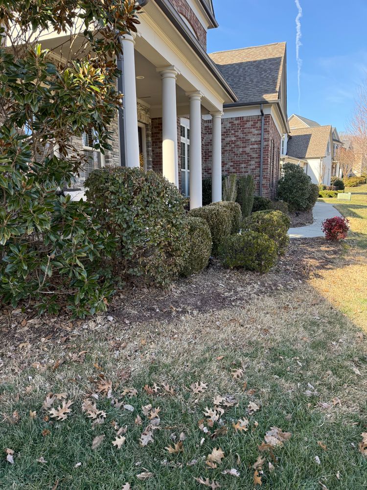 Before for Dream Cuts Landscaping and Lawn Care LLC in Gastonia, NC