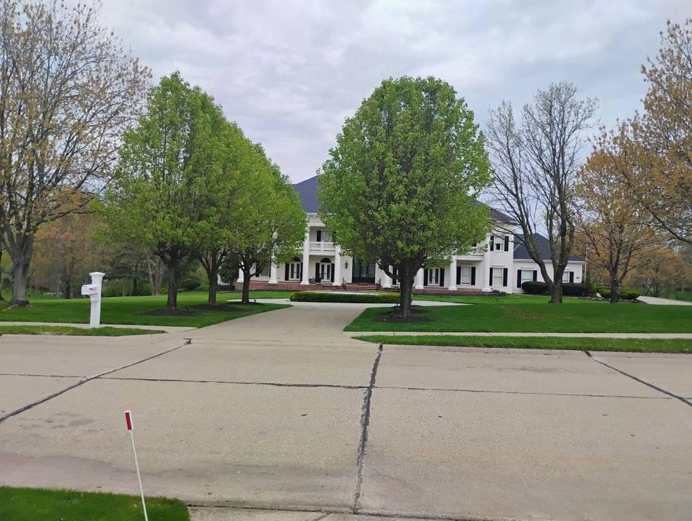 All Photos for Kingdom Tree Trimming and Removal LLC in Covington, KY