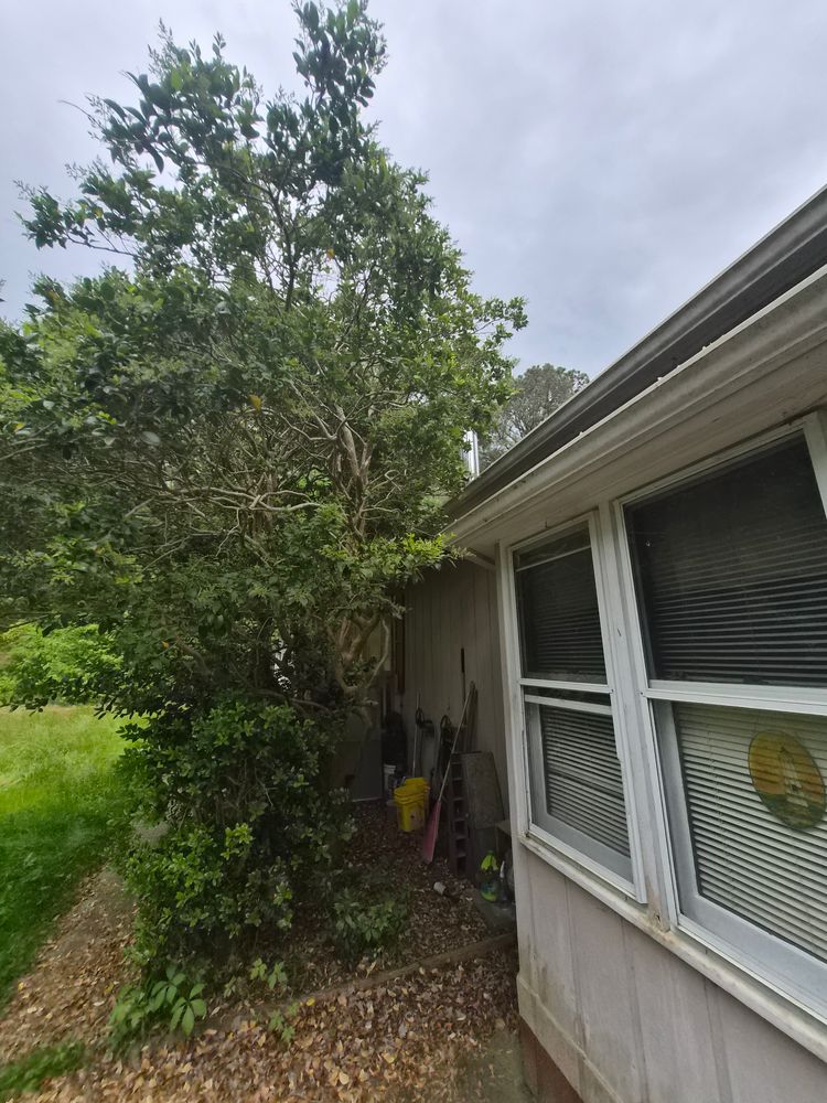 All Photos for 4 Points Lawncare LLC in Hayes, VA