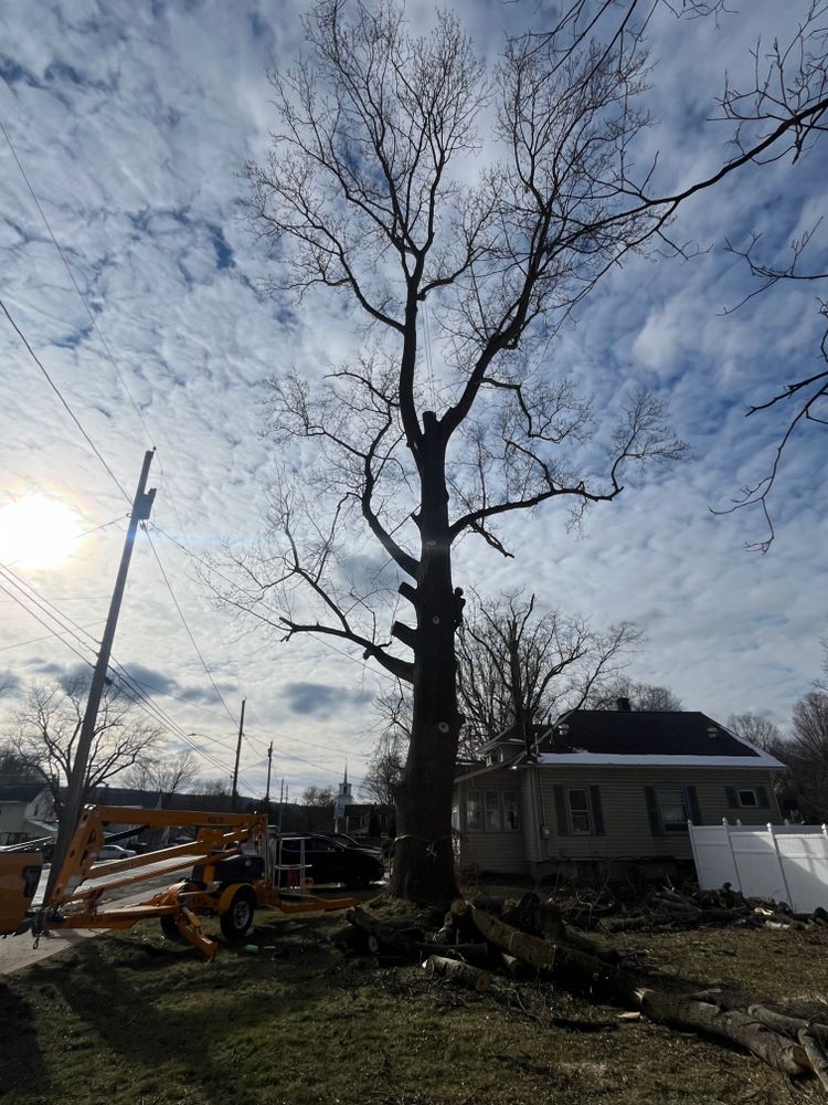 All Photos for Licensed to Cut Tree Service in Athens, PA