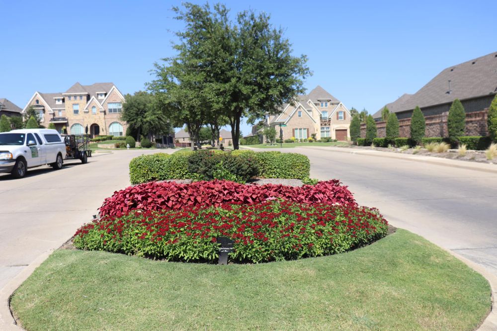 Seasonal color changes for Guerrero's Landscape in Fort Worth,  TX