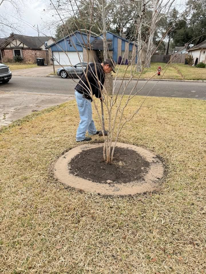 All Photos for Texas Curb N Borders in Houston, TX
