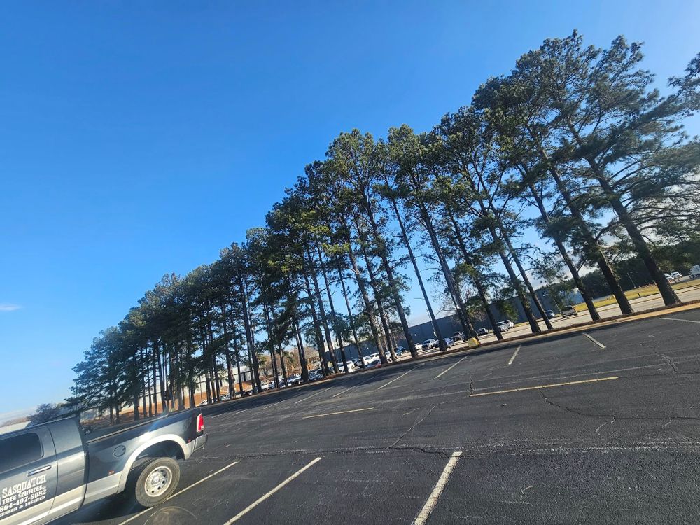 24/7 Storm Response for Sasquatch Tree Services LLC in Spartanburg, SC