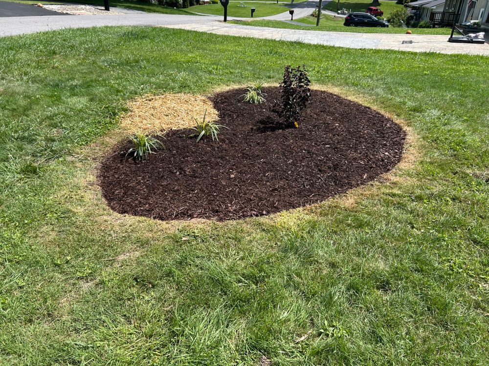 All Photos for Gatrell Landscape & Tree Removal in Bluff City, TN