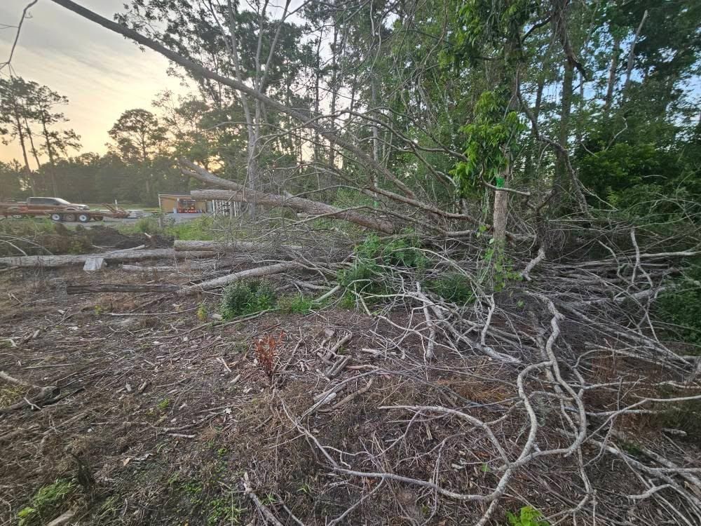 All Photos for Southern Shade Property Service in Ray City, GA