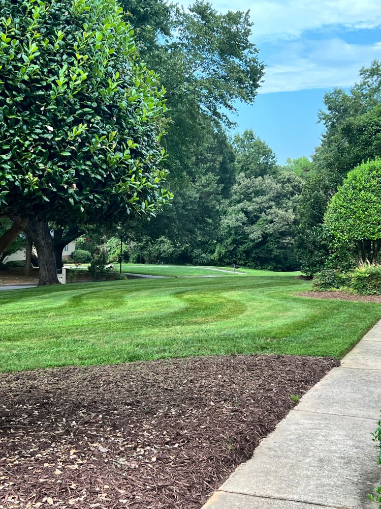 All Photos for Massey Landscaping in Gastonia, NC