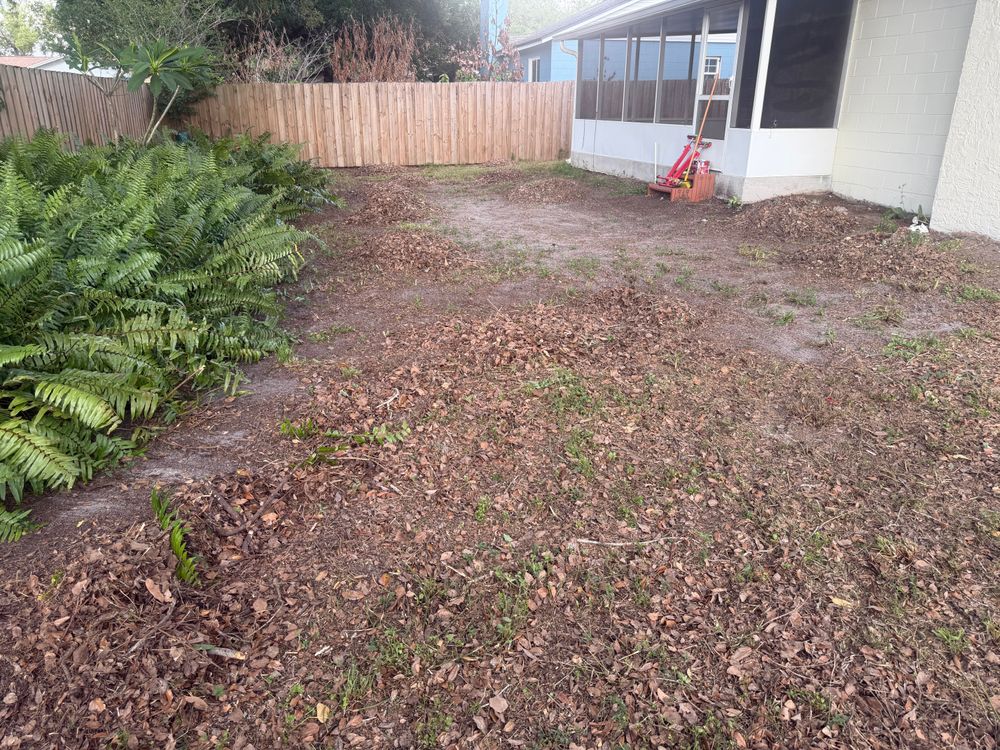 All Photos for The Yardman in Tampa, FL