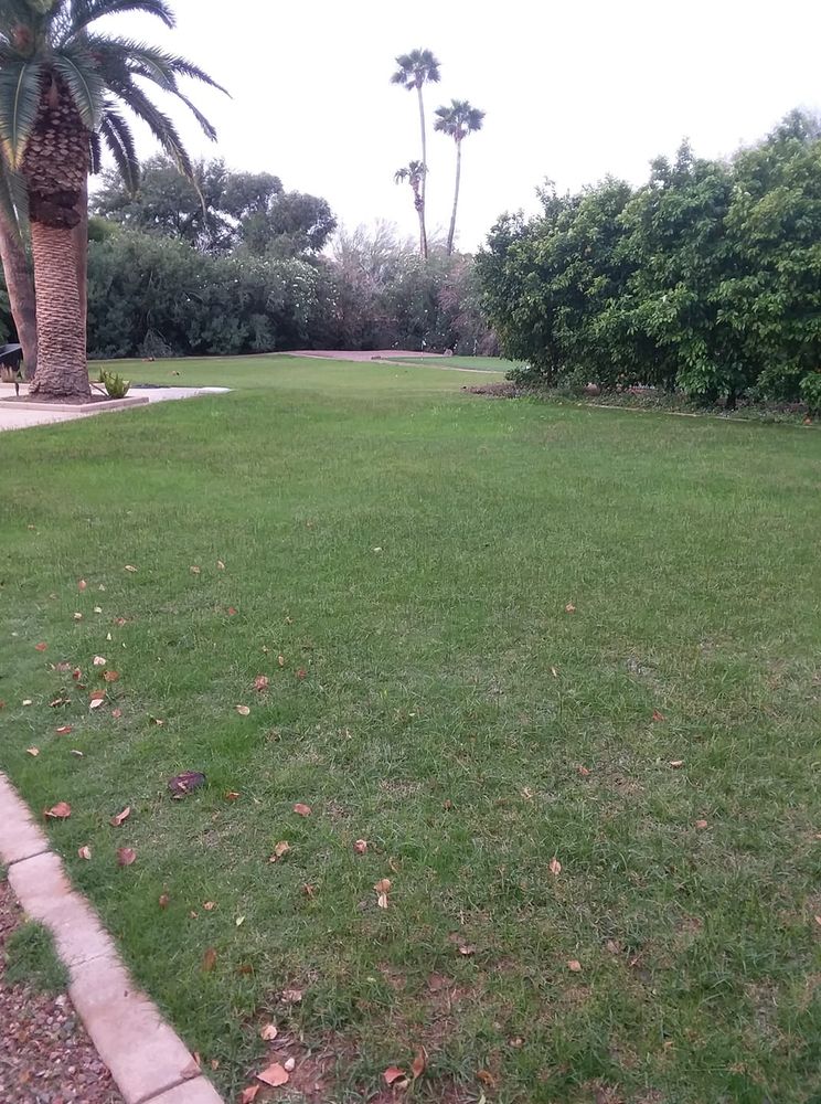 Our Lawn Aeration service involves perforating the soil with small holes to allow air, water, and nutrients to penetrate the grass roots more effectively, promoting healthy growth and a lush lawn. for RCB Landscape  in Albuquerque, NM