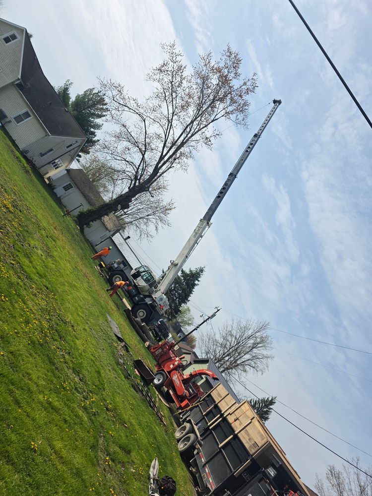 All Photos for Advanced Tree Solutions in Rockville, IN