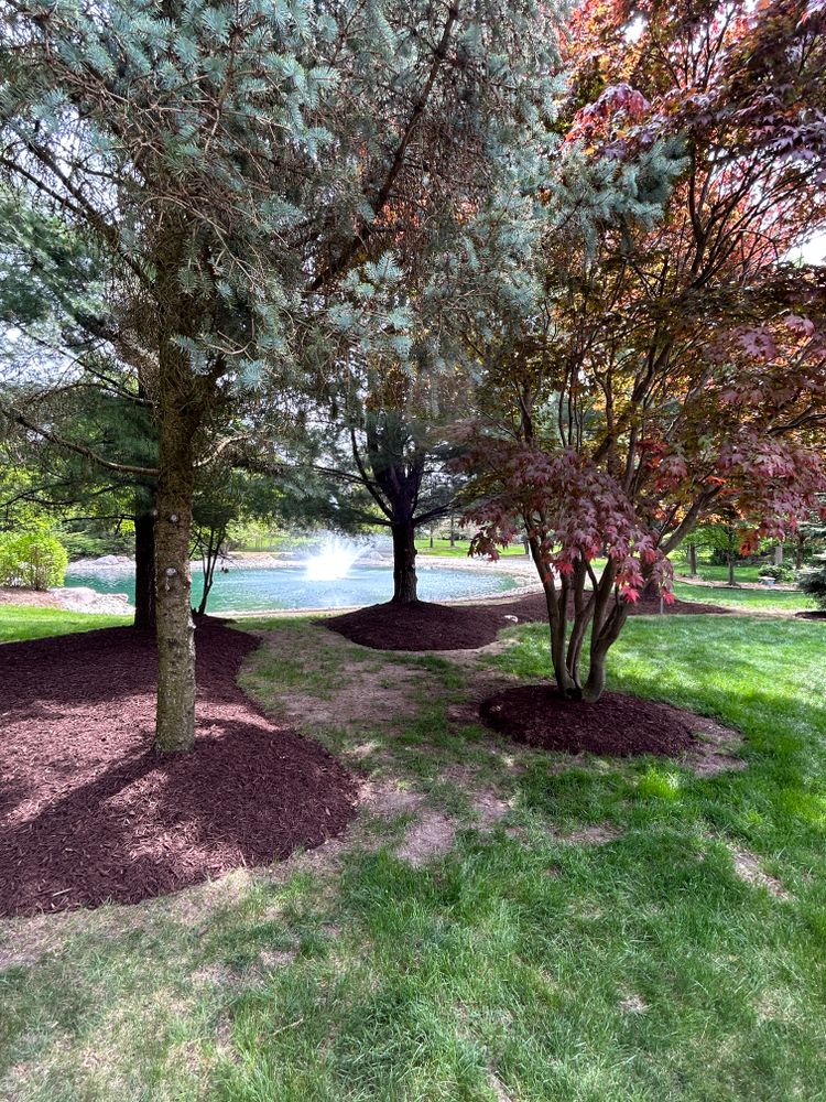 All Photos for Denali Outdoor Services in Washington, MI