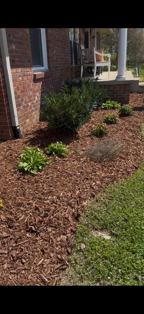 All Photos for Oaks Excavating in Lyles, TN