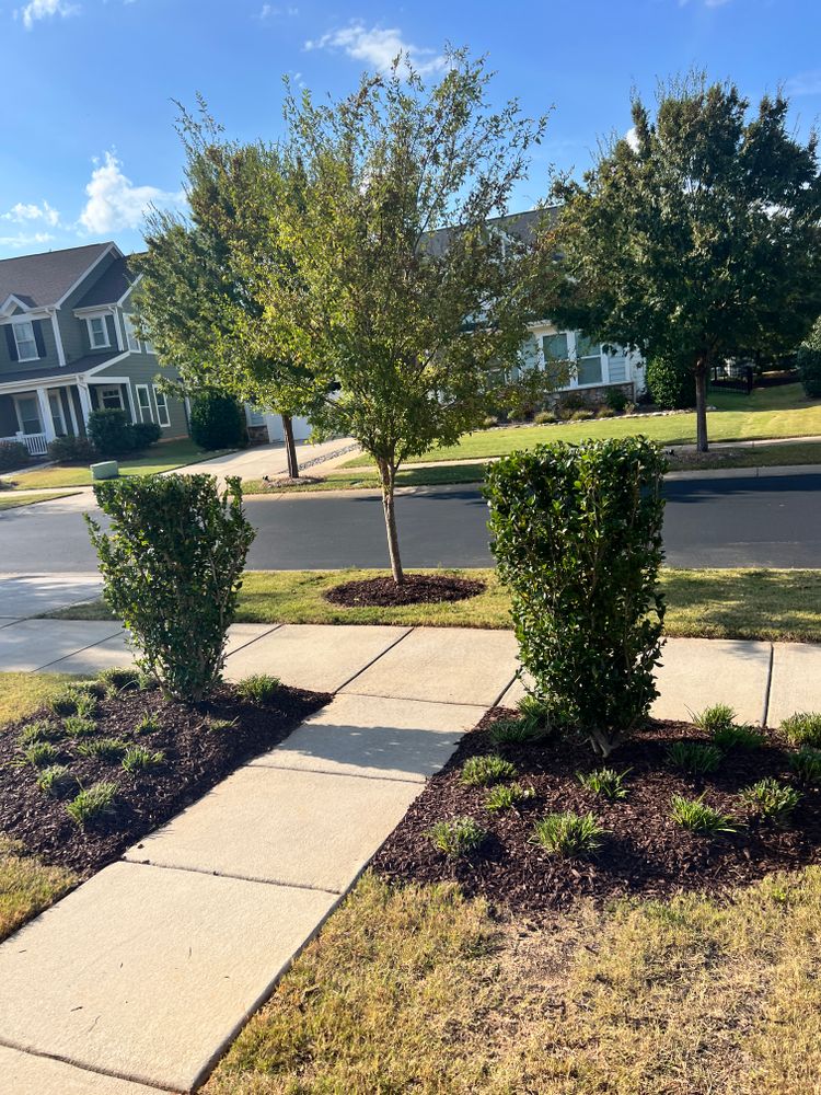 All Photos for Massey Landscaping in Gastonia, NC