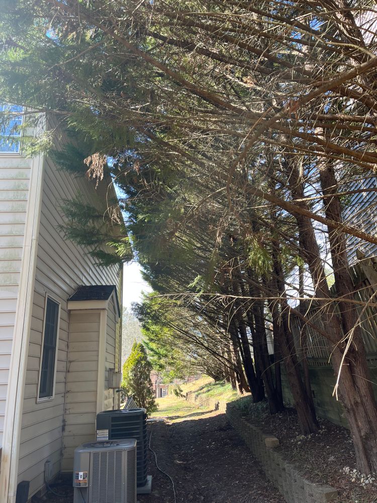 All Photos for Atlas Home Services in Mechanicsville, VA