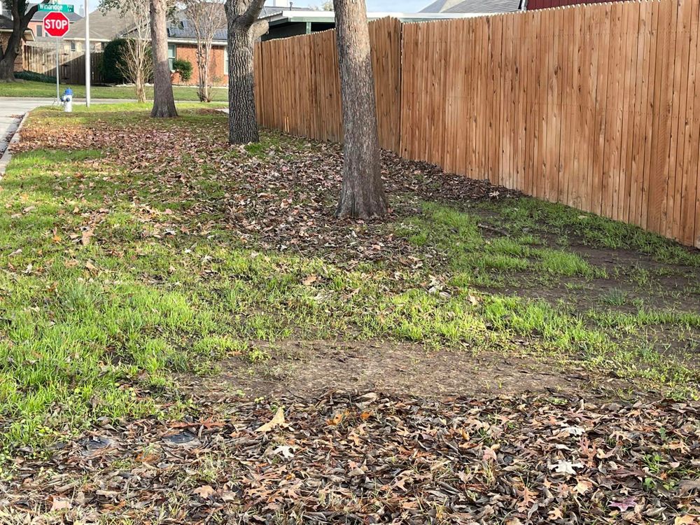 Our Fall and Spring Clean Up service includes raking leaves, removing debris, trimming bushes, and preparing your lawn for the changing seasons to maintain a beautiful landscape year-round. for Mora’s Lawn Services in Crowley,  TX