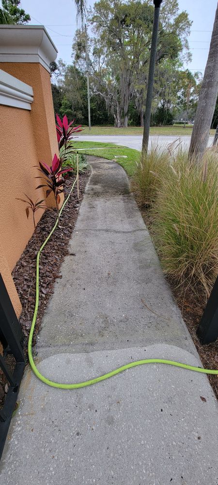 All Photos for Blue Stream Roof Cleaning & Pressure Washing in Tampa, FL