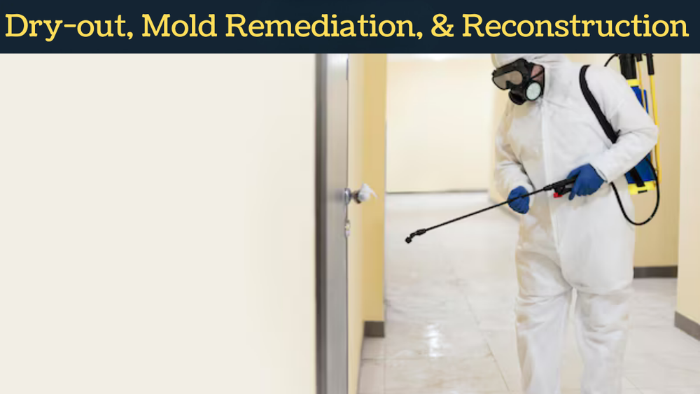 All Photos for Texas Estate Construction in West University Place, TX