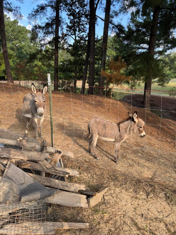 All Photos for Toro’s Welding, Fabrication & Repair in Memphis, TN